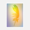 Postcards "Gradient Feather 2013" (set of 5) - Image 4