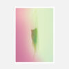 Postcards "Gradient Feather 2013" (set of 5) - Image 6