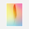 Postcards "Gradient Feather 2013" (set of 5) - Image 3
