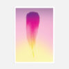 Postcards "Gradient Feather 2013" (set of 5) - Image 2