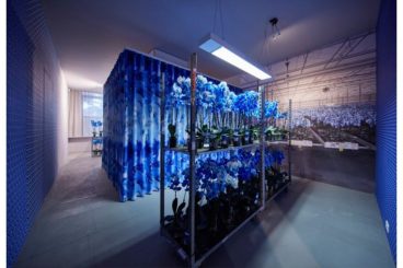 Dutch Design Week 2015